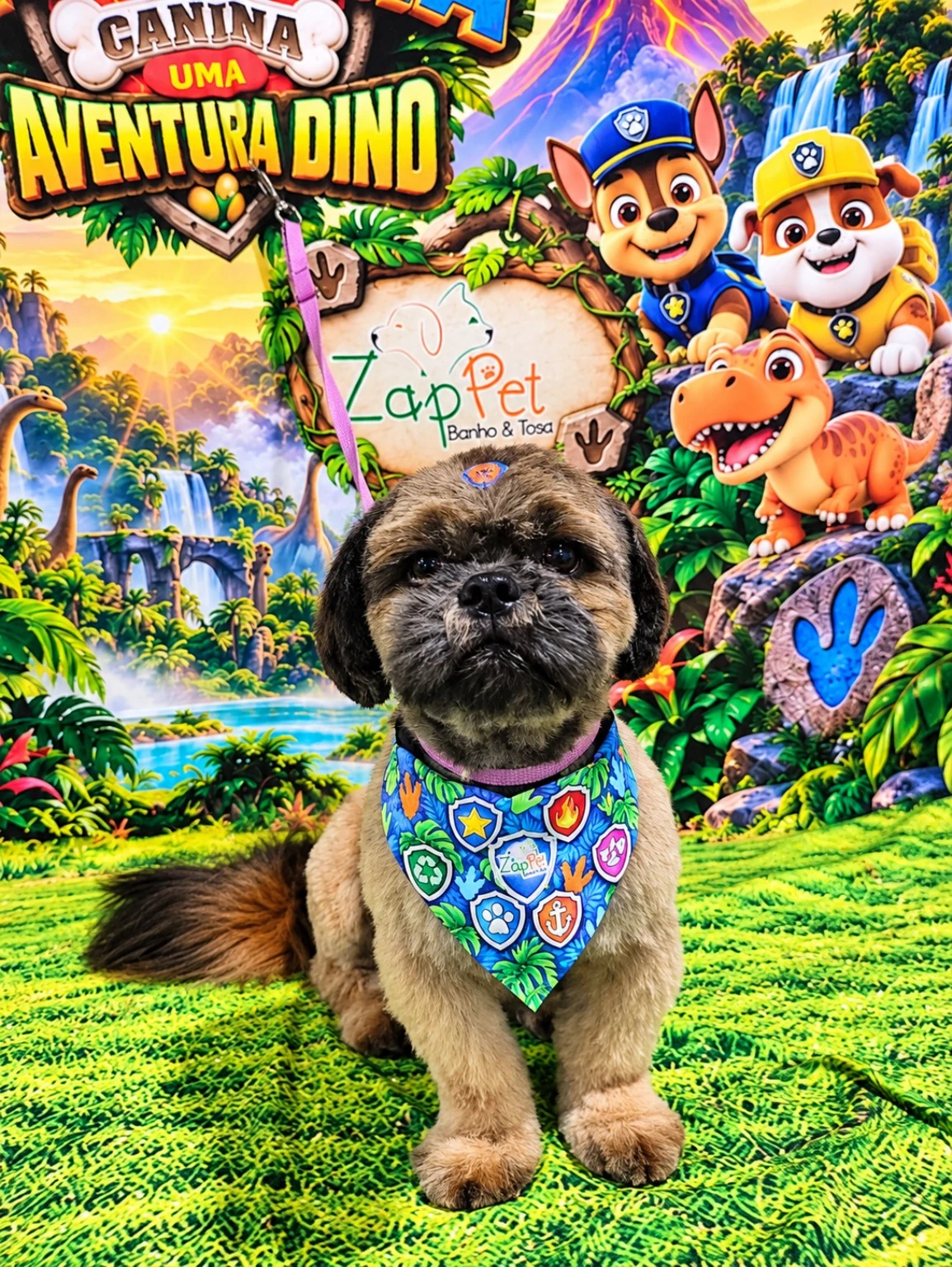 Cachorrinho com pelagem caramelo e focinho escuro, sentado com bandana azul.